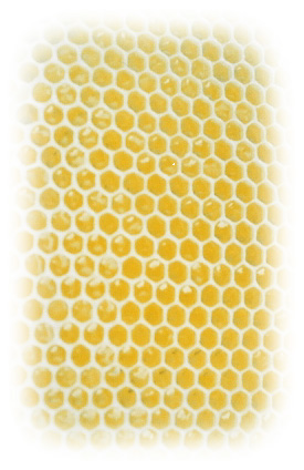 honeycomb